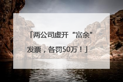 两公司虚开“富余”发票，各罚50万！